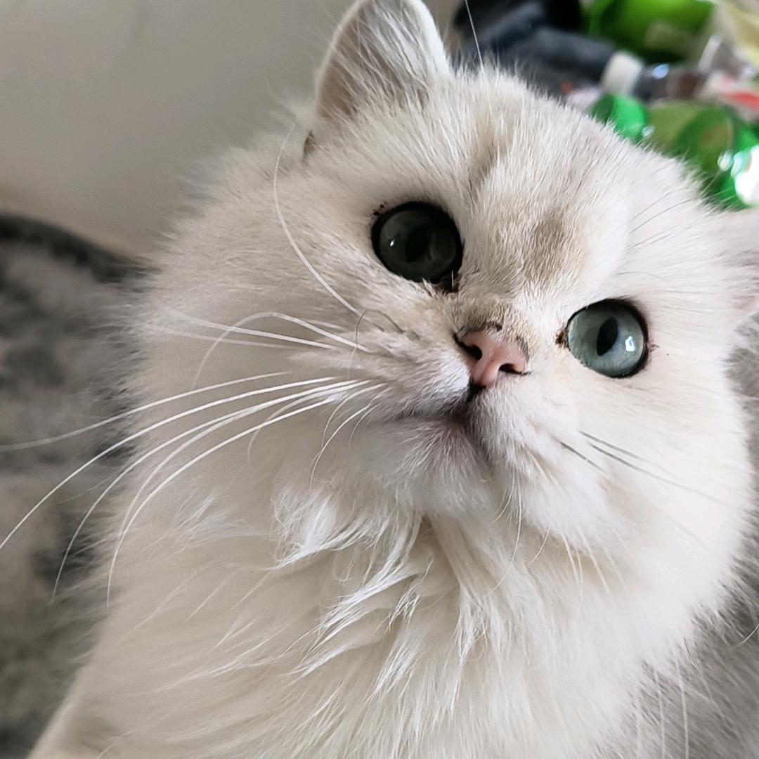 牧卿