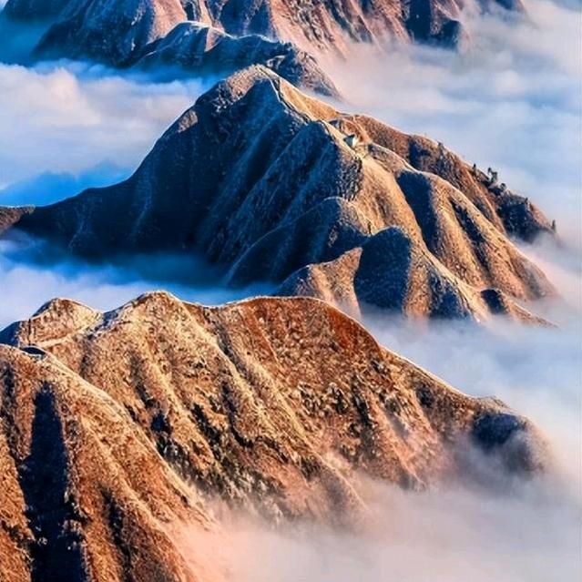 妙龄