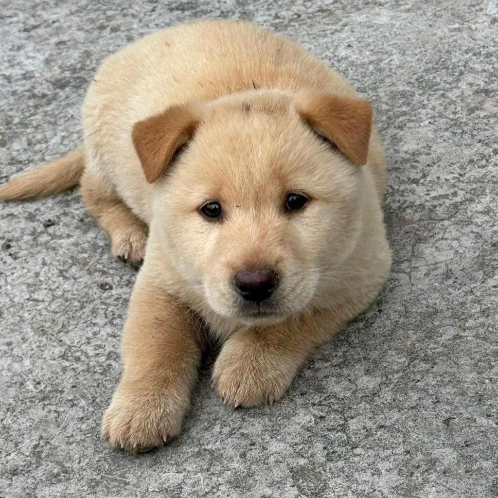 平凡日子里的刺
