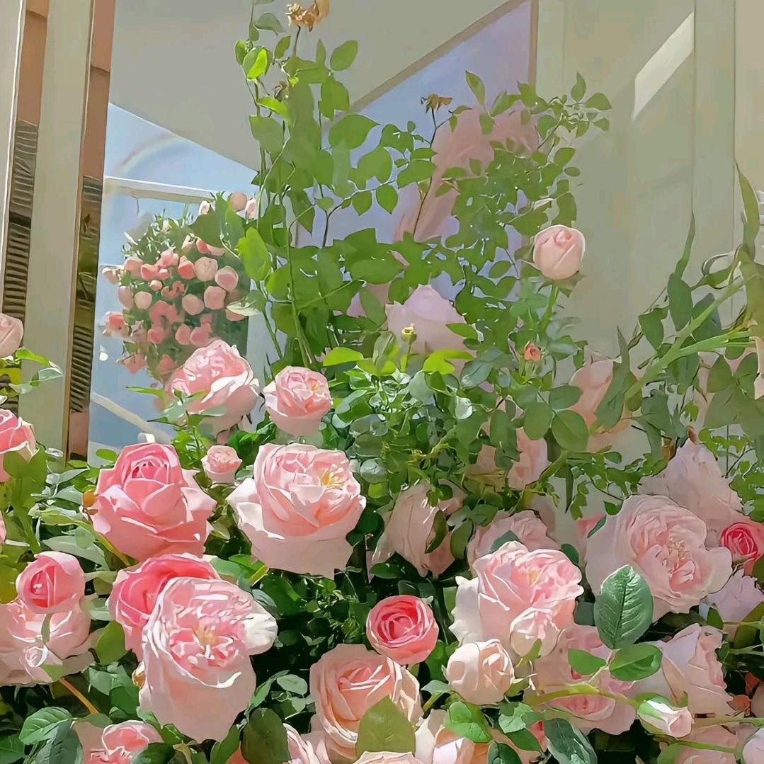 风～有风的来意