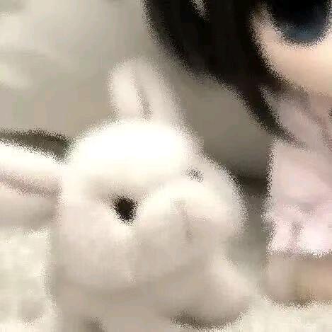 穿二号的流川枫