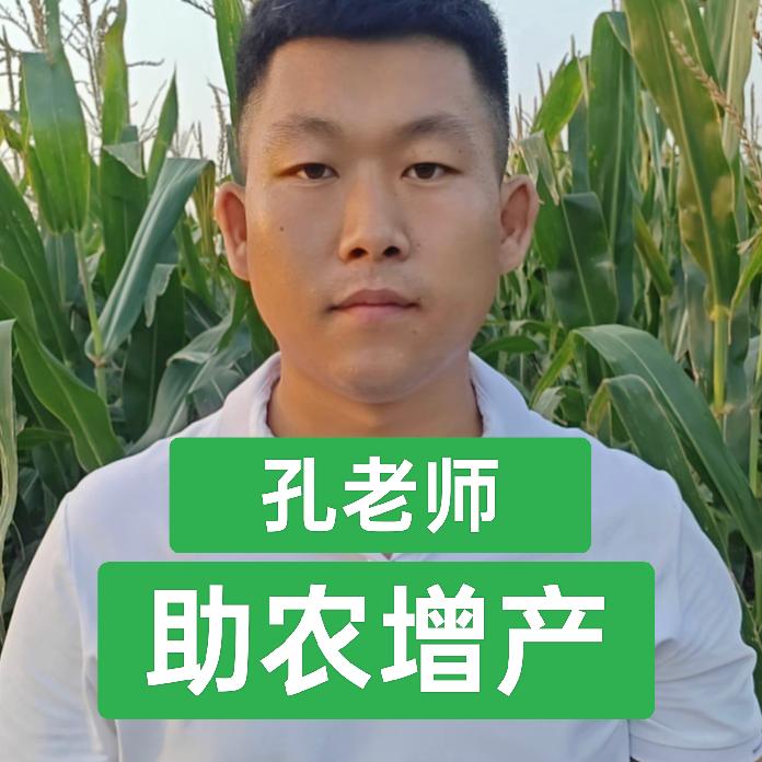 瑞农帮
