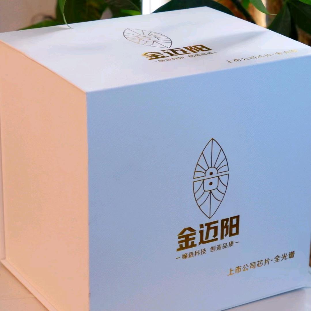 金迈阳   灯带厂家