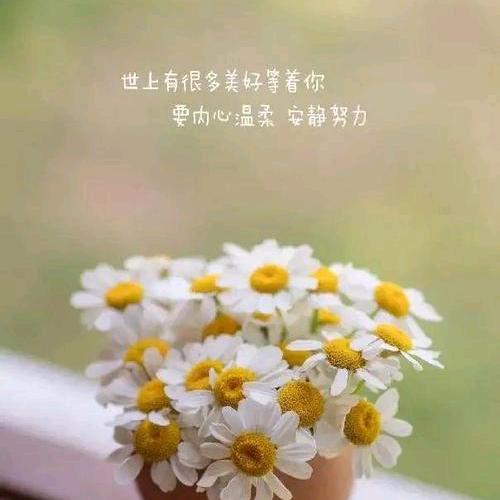 金灿烂