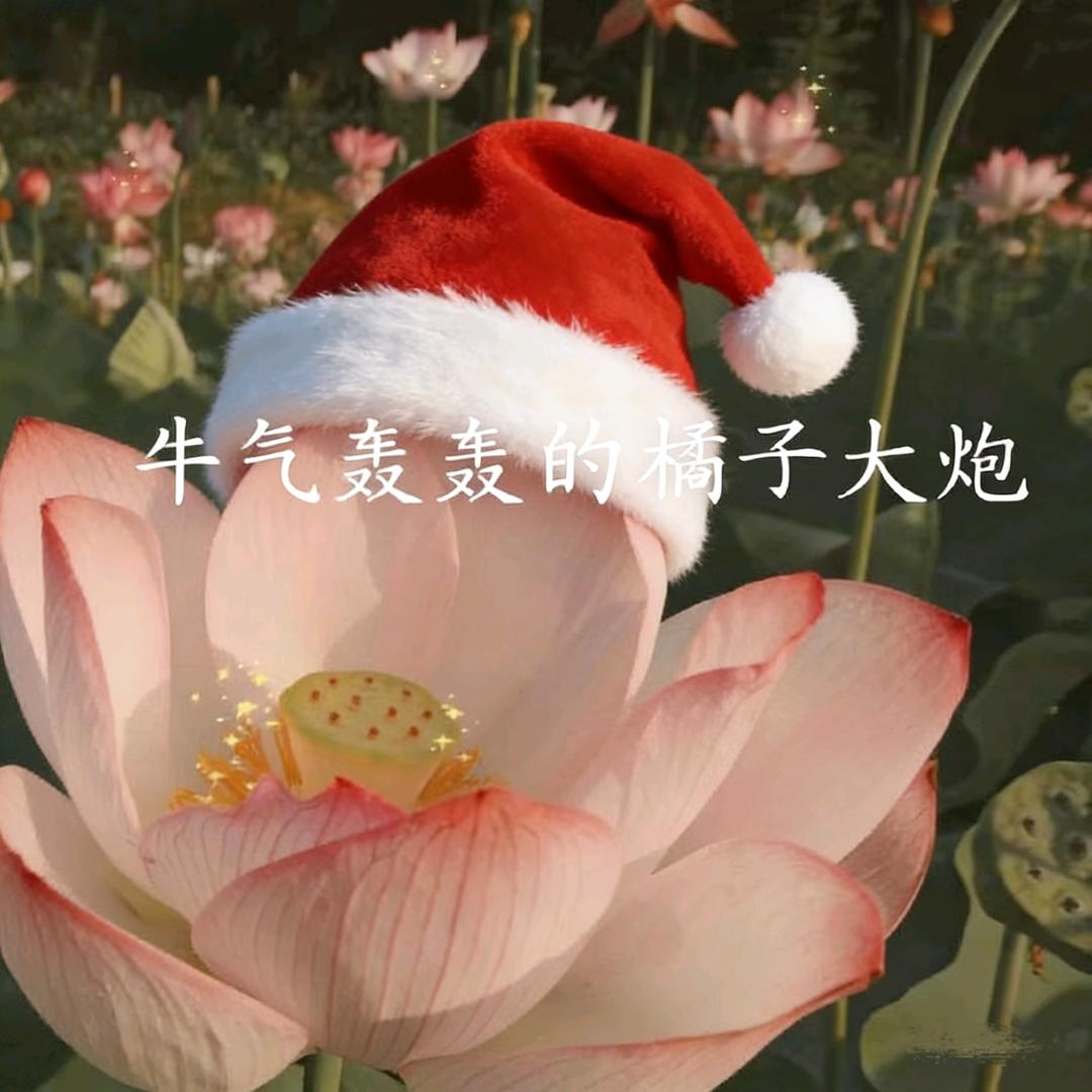 残荷