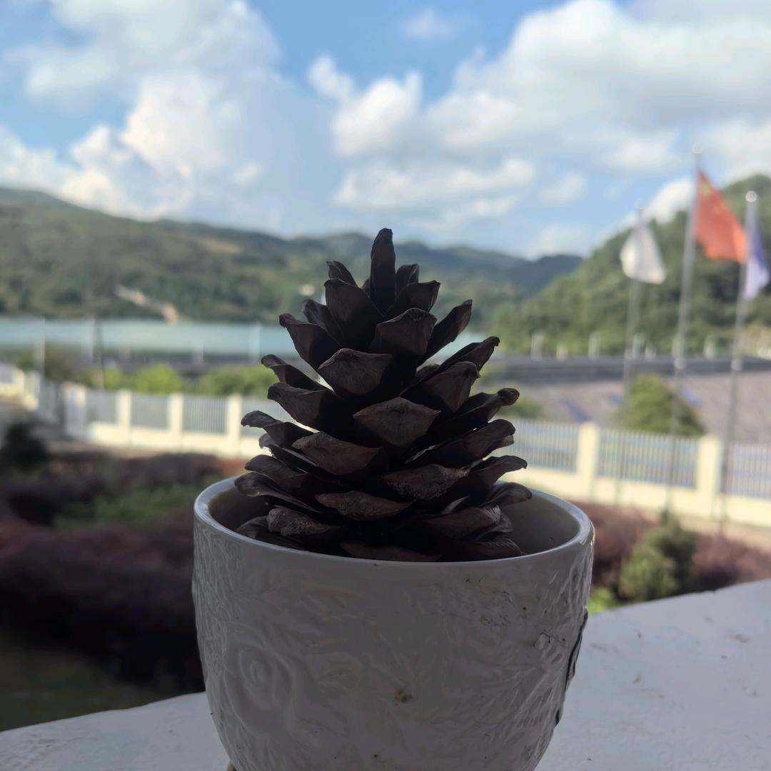 은별〥Σ우작은별