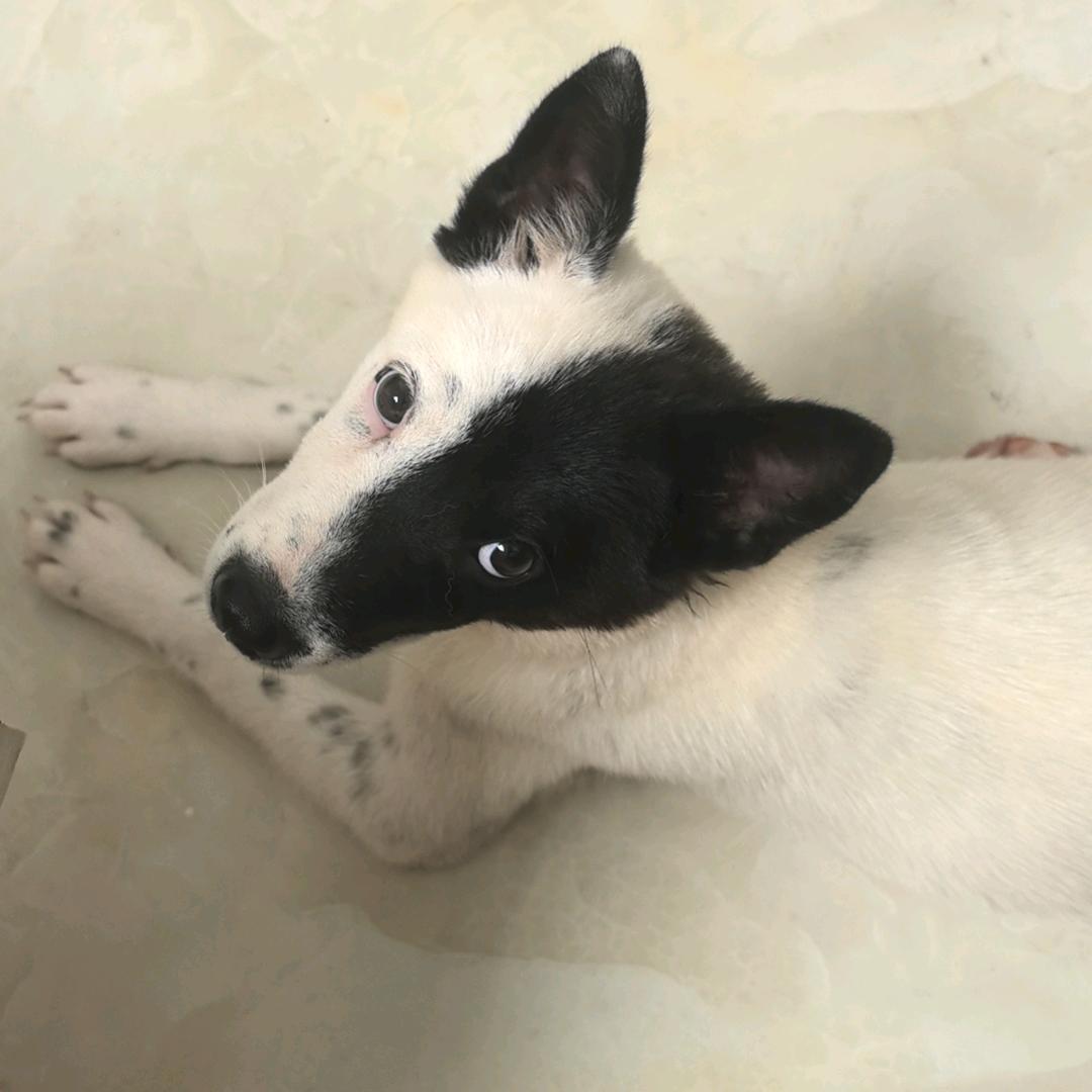 你大爷还是大爷