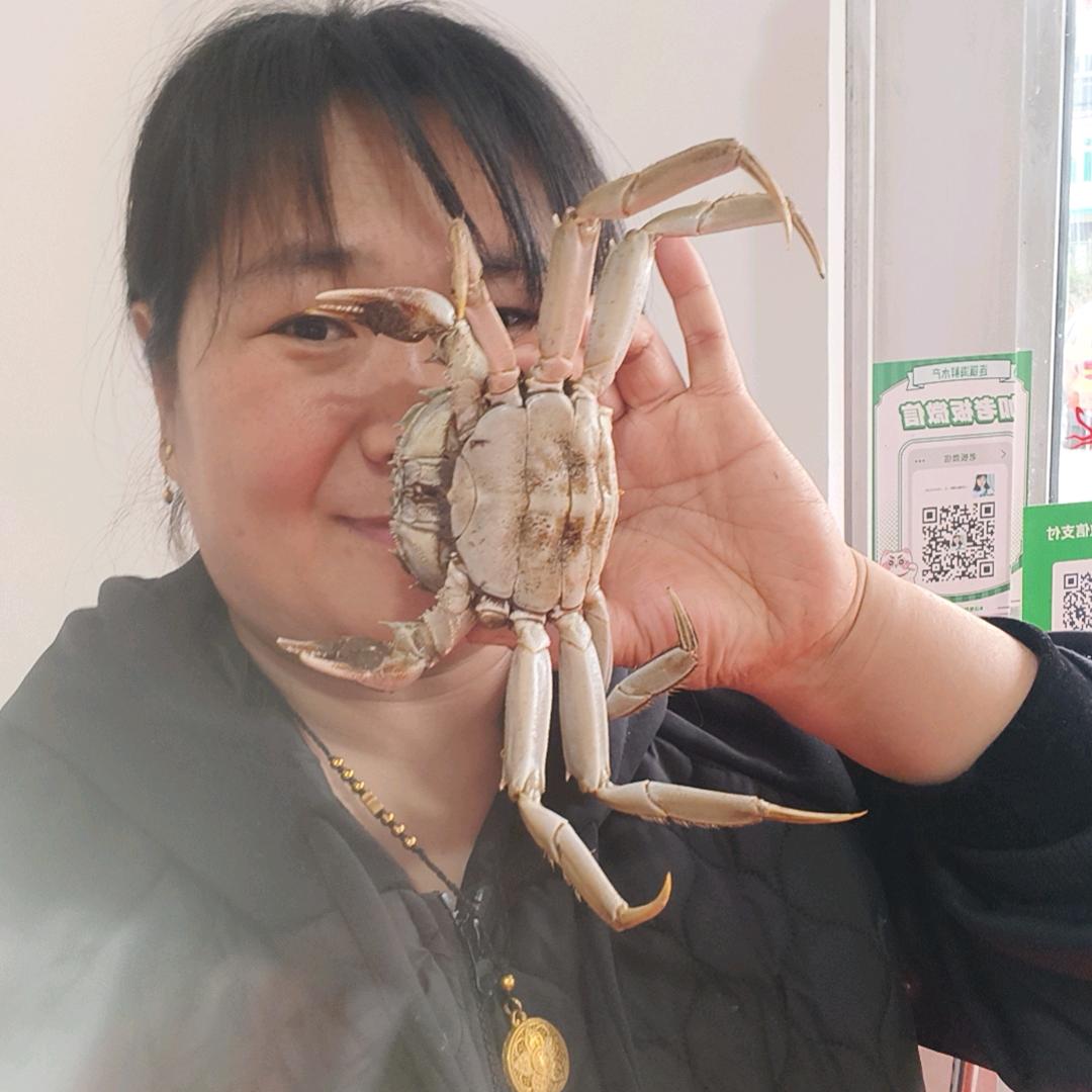 王凤  海鲜  水产