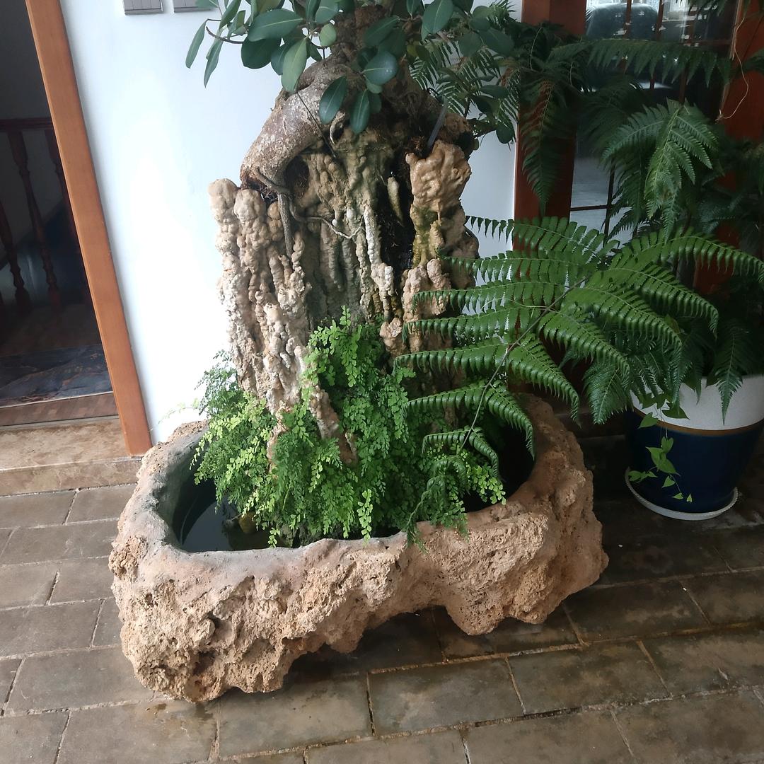 伤了心的不是命，而是感情