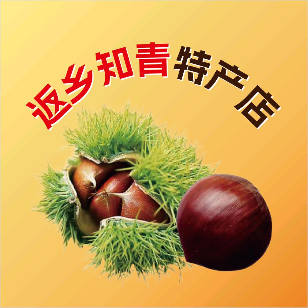 返乡知青特产店
