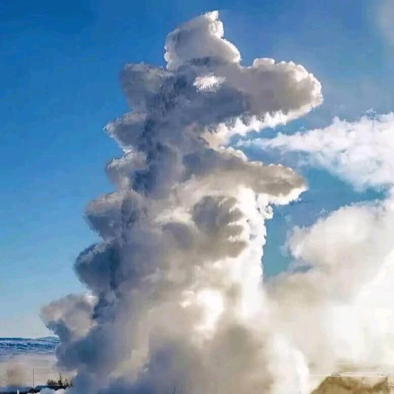 桃皮绒本白增白现货仓库🍑