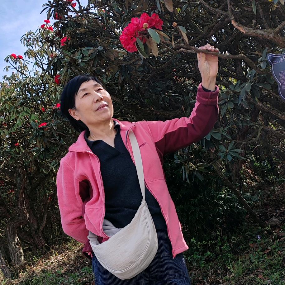 尚阿姨
