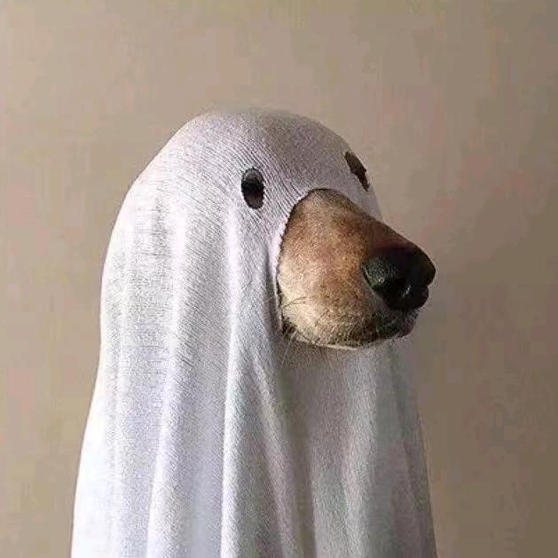 Zhang       先森🐒