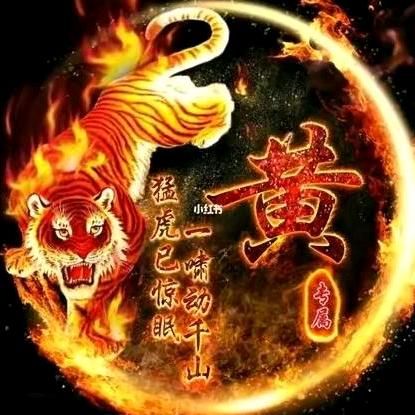 自在自由