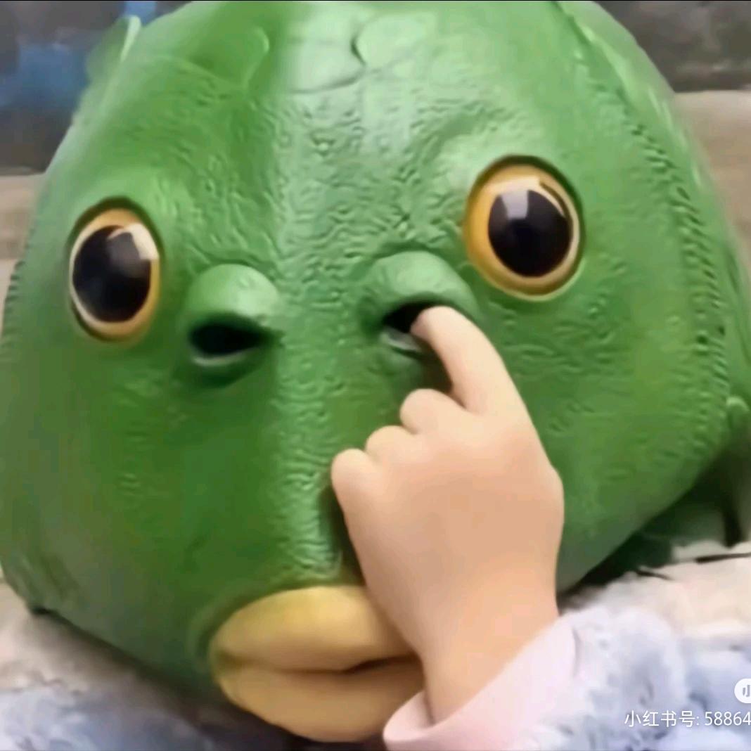 今天精神状态很美丽