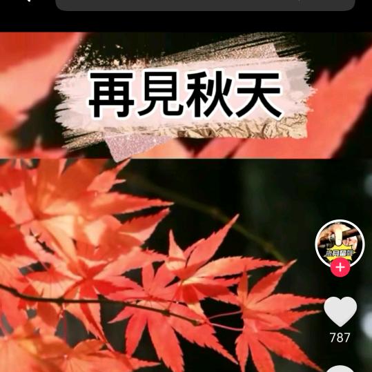 m晚风u