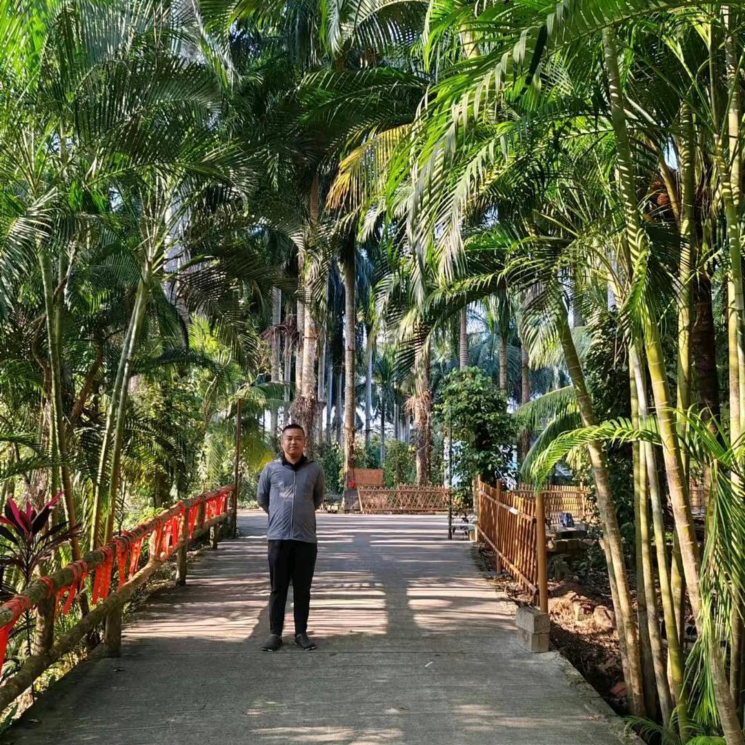 月亮是我掰弯的