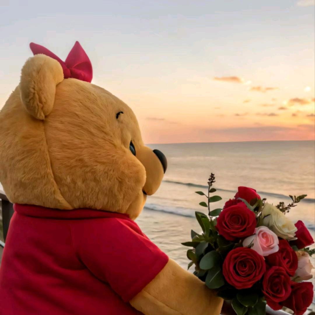 听闻远方有你🌼