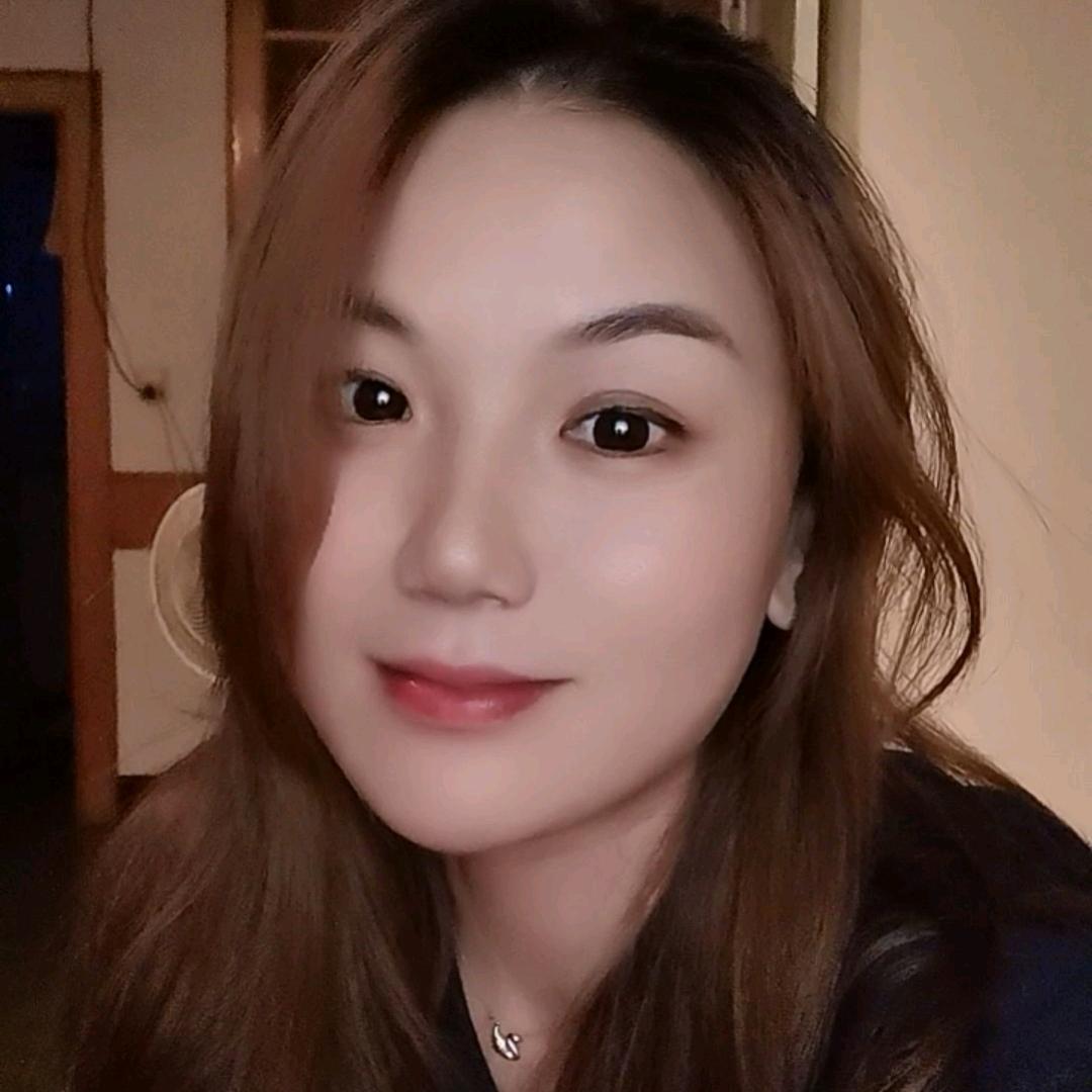 藏梦人