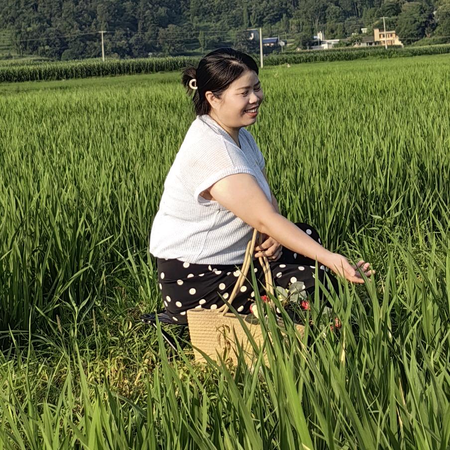卢姐
