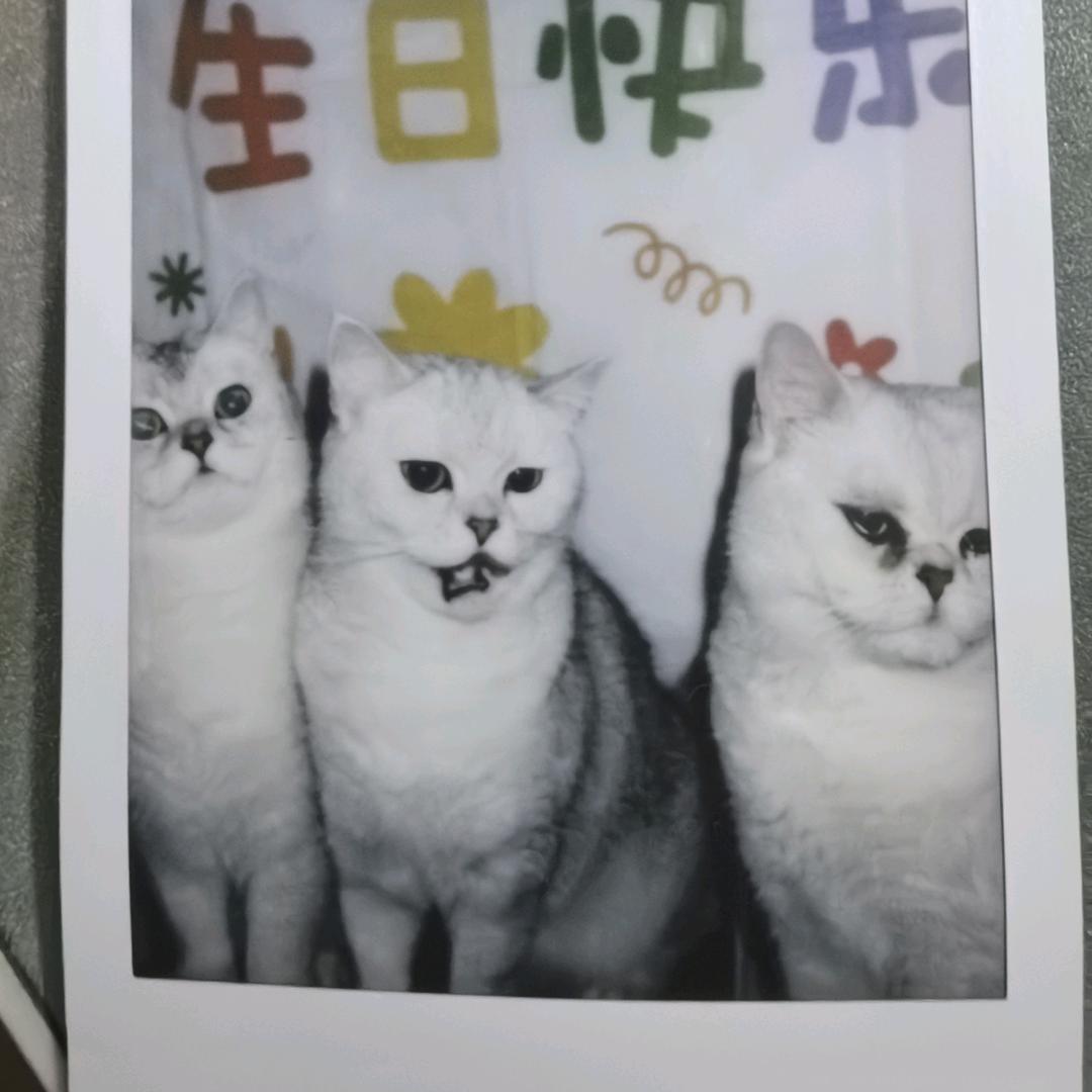 何可½