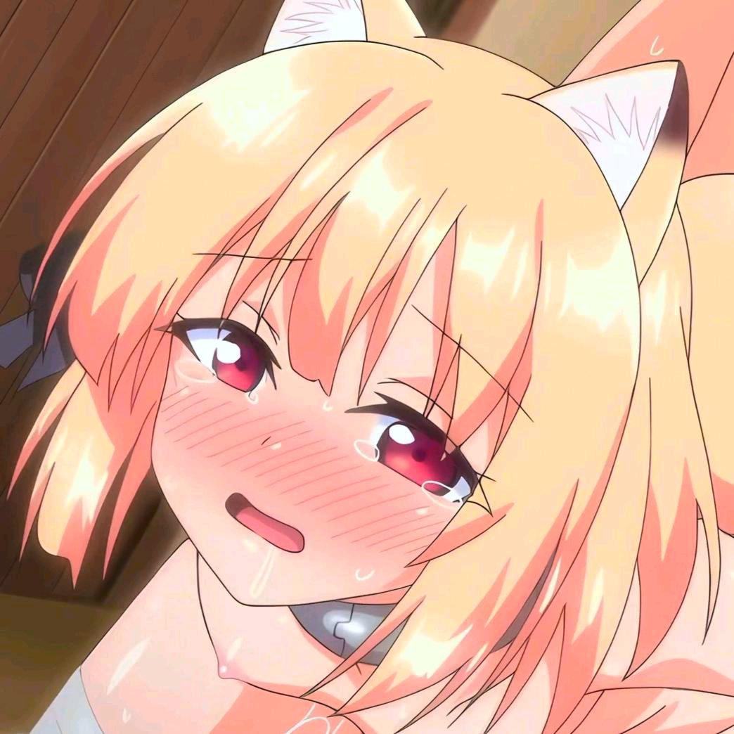 AAA我要⿱猫娘！