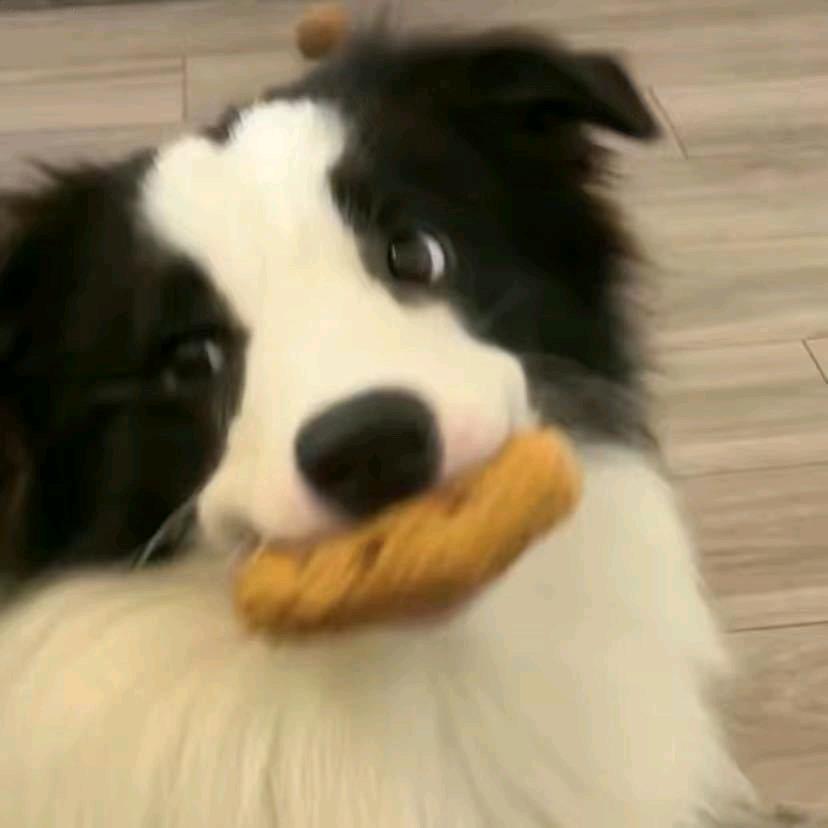 CS2寻（顺应趋势）