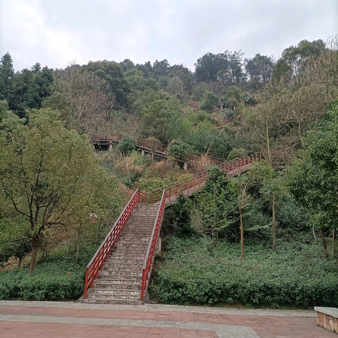 袁小莲
