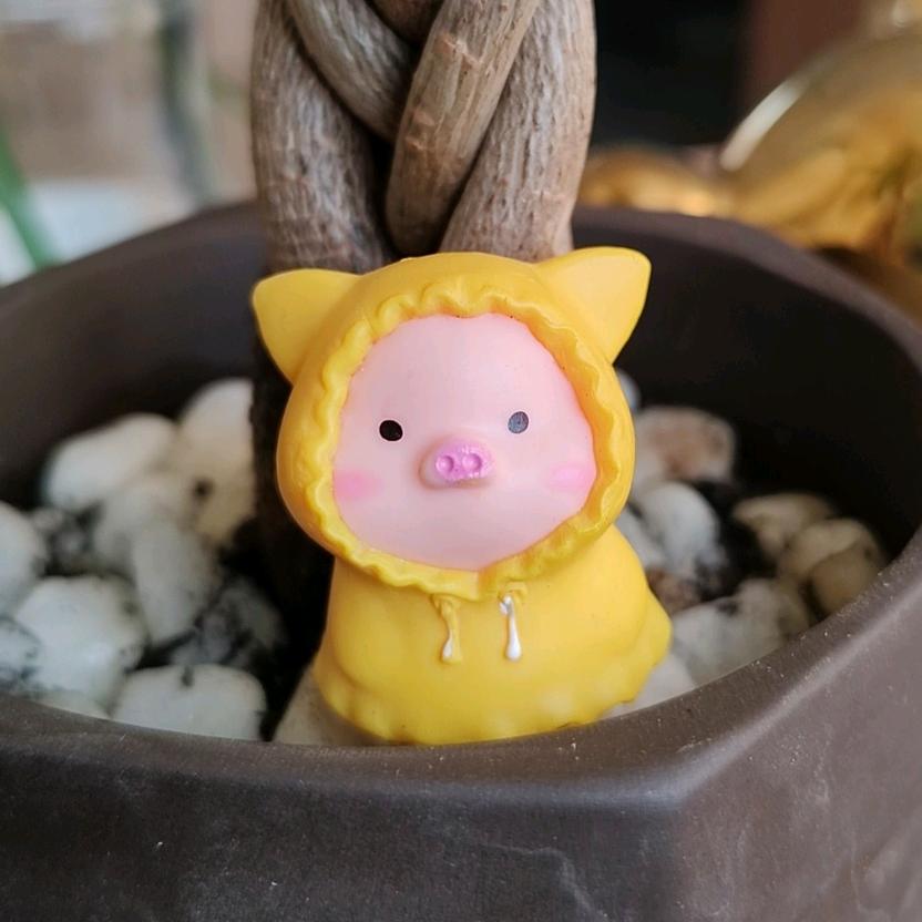 小猪小猪