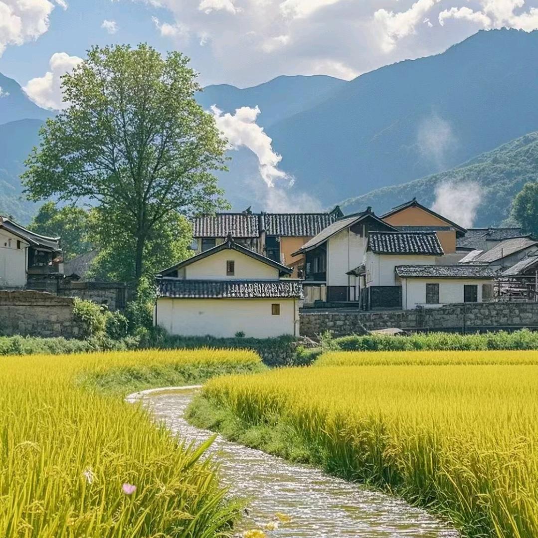@张敏