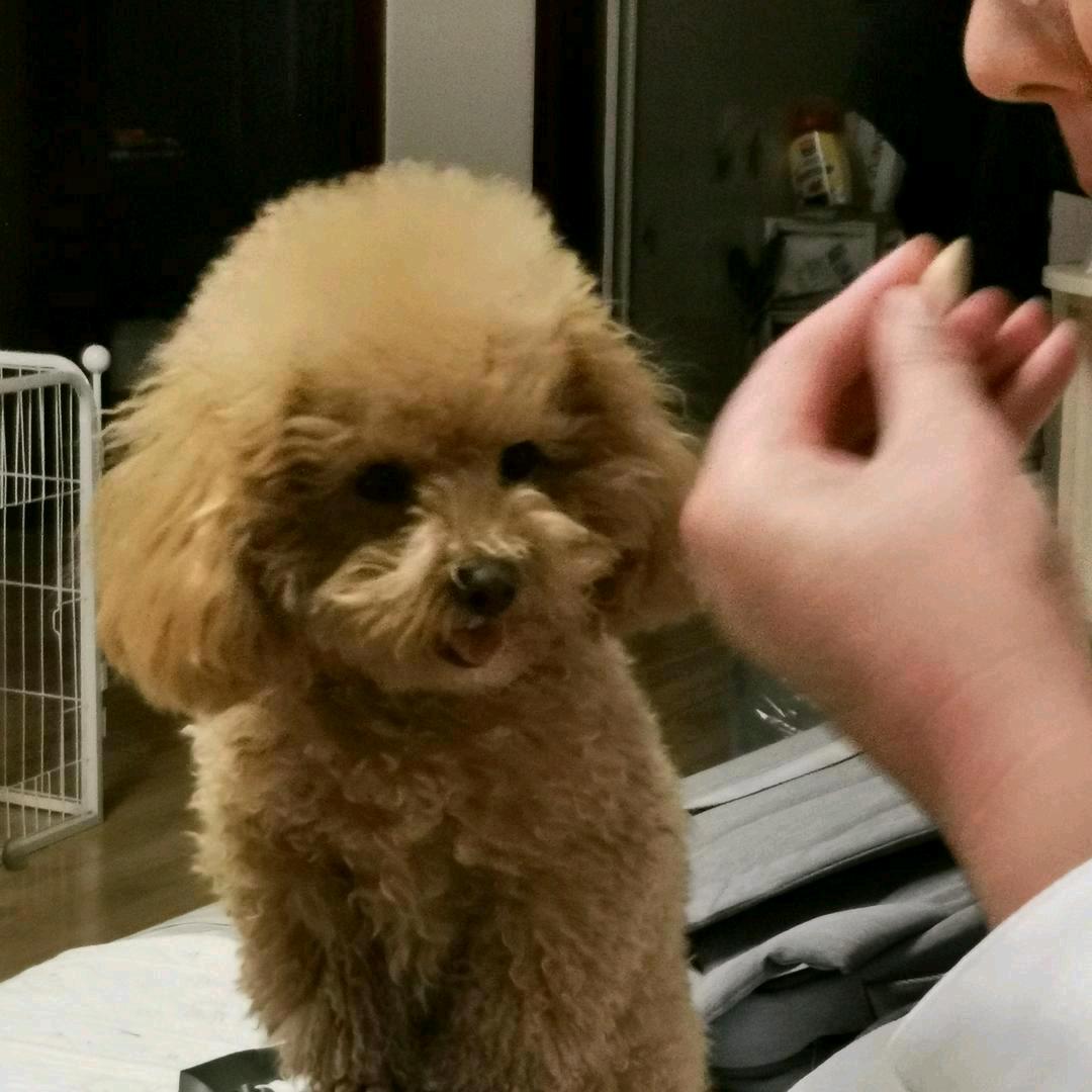 甜心baby