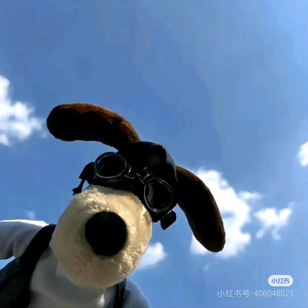 【萌大多】妲己guefu