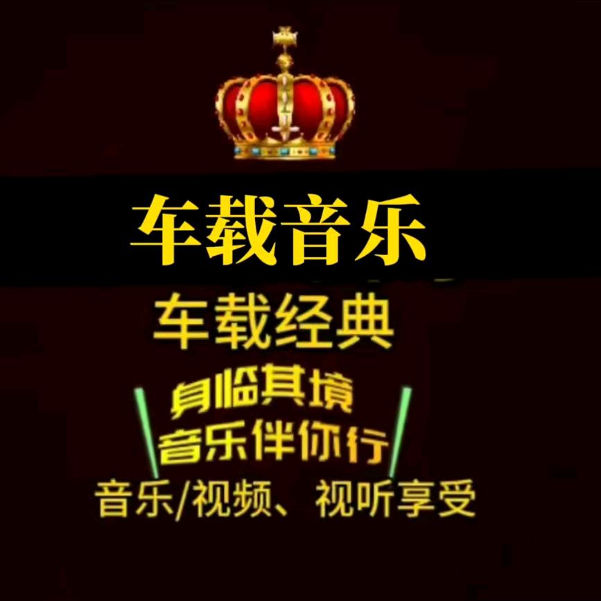 伤感音乐🉑购U盘