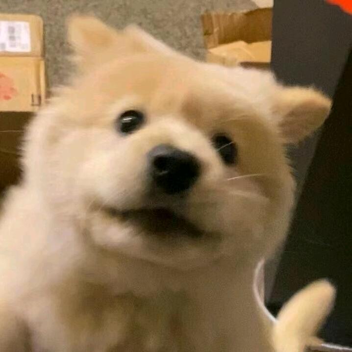 在野