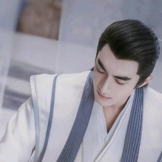 一支梅✨