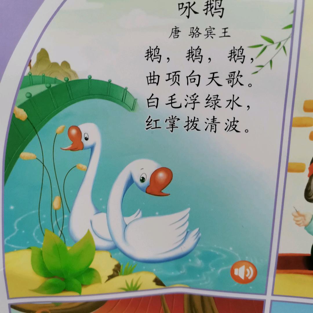 鹅鹅鹅头像