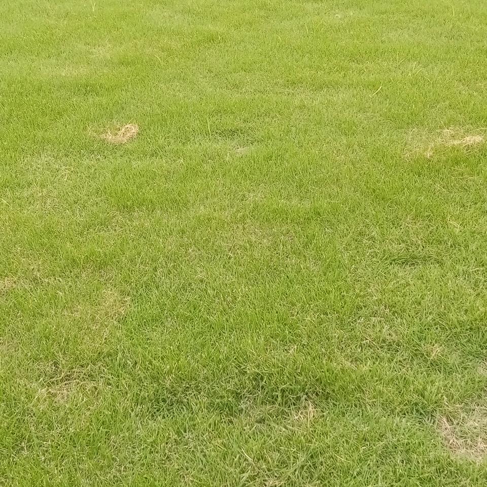 单枪独马
