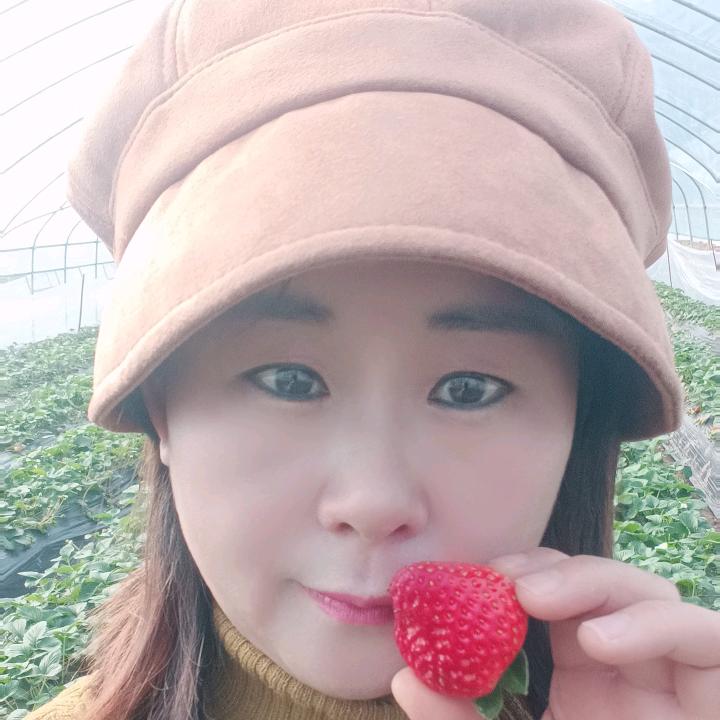 凤鸣镇里市草莓园