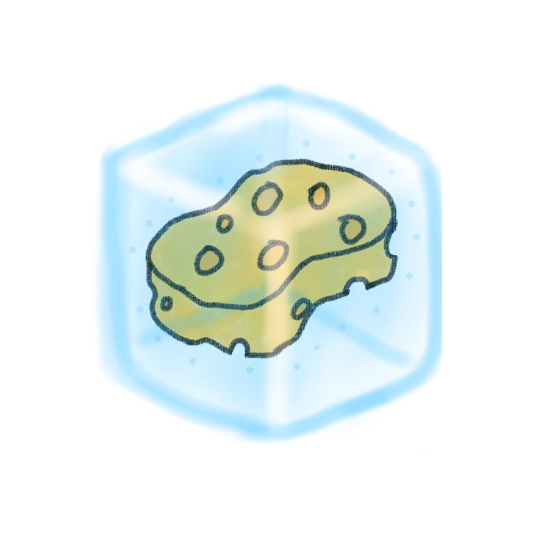 🧊海绵