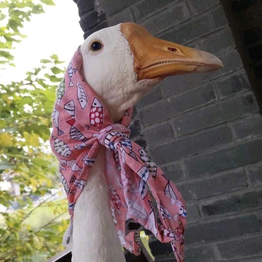 一罐寡盐