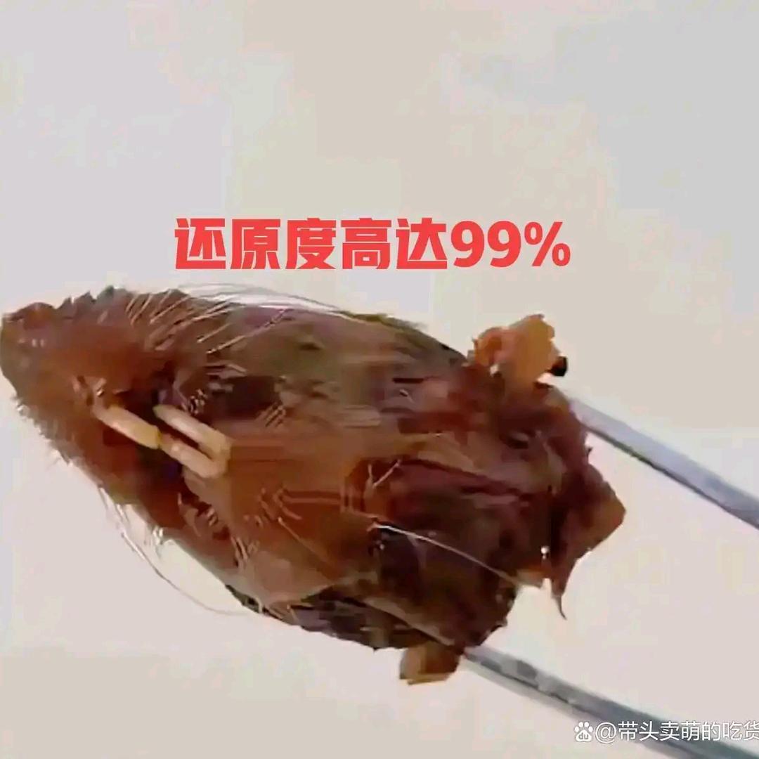 鼠鼠🐭我鸭