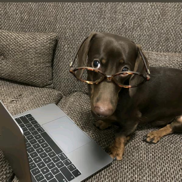 洗呀洗呀洗脚脚无骨鸡爪少不了