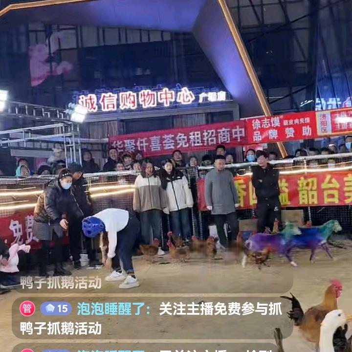 宝哥哥