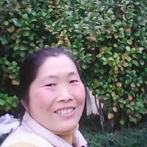 汪金凤