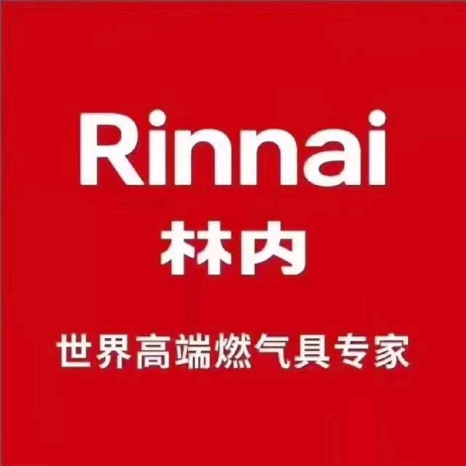 民丰林内壁挂炉