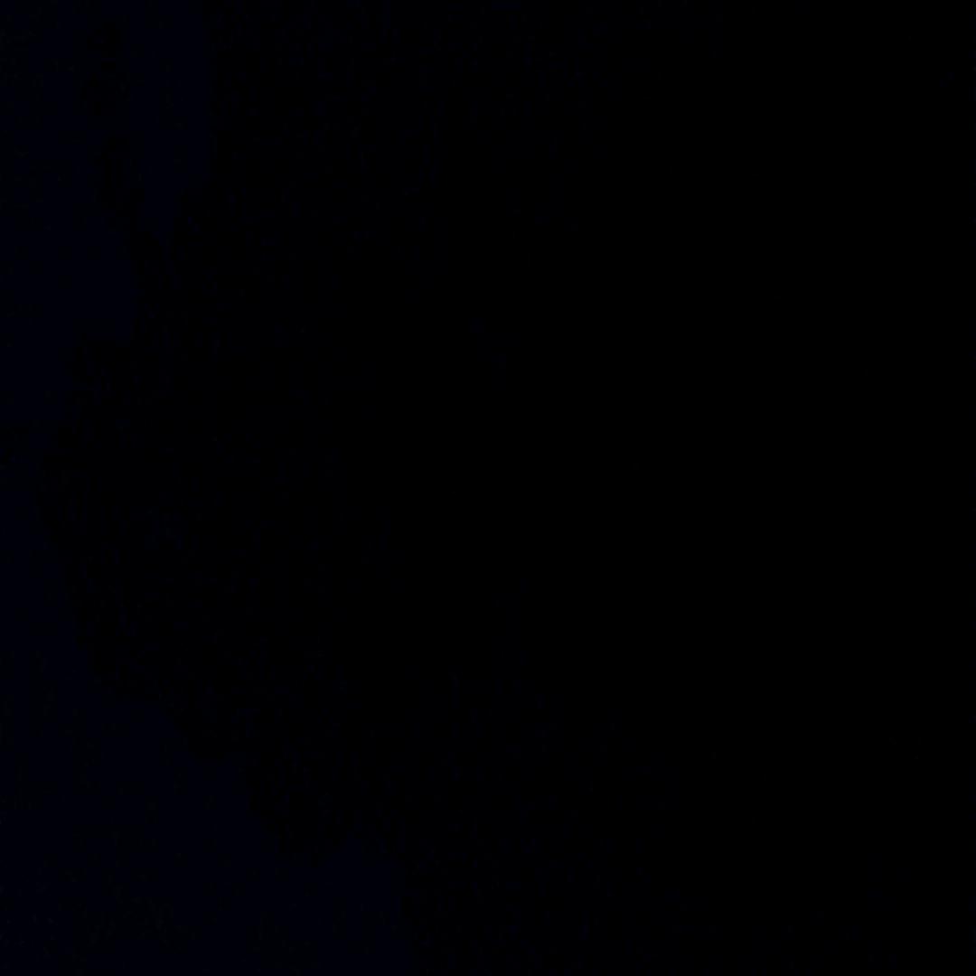 王路不飞