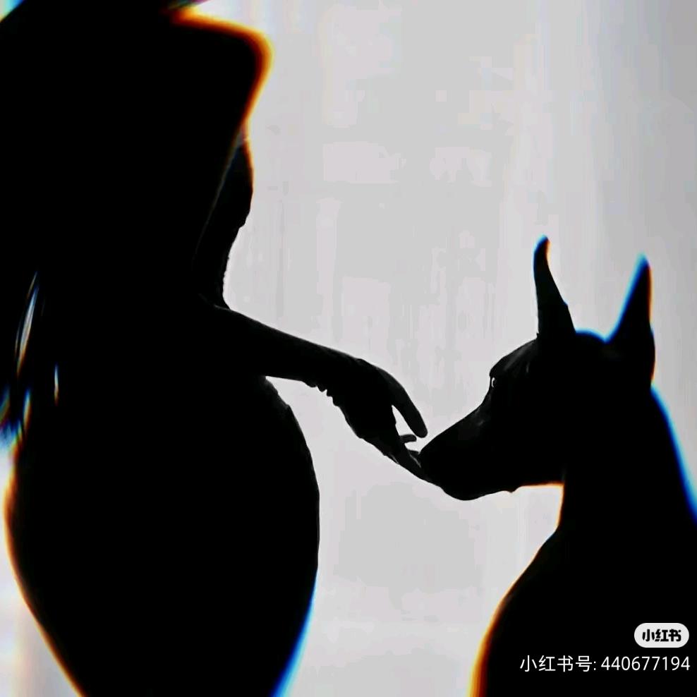 在无人区看繁花