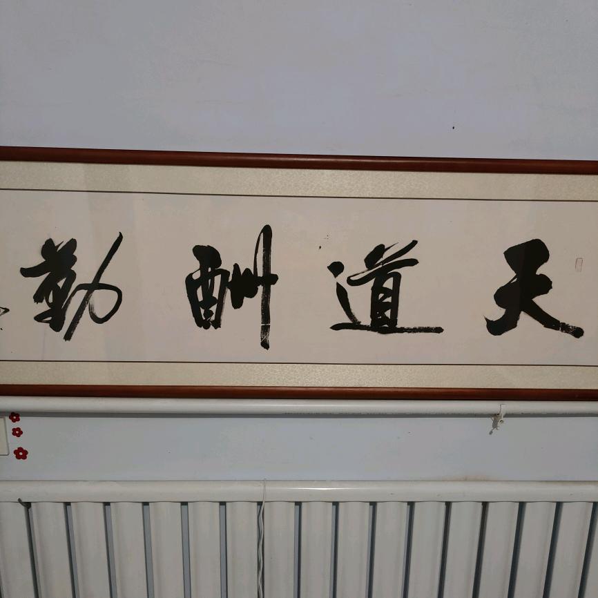🌈  鹦明神鹉🦜