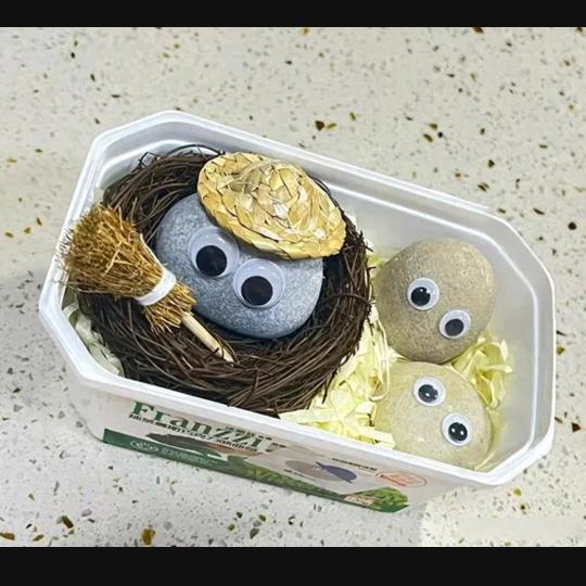 不如一块宠物石