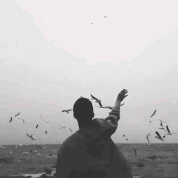 温柔的风